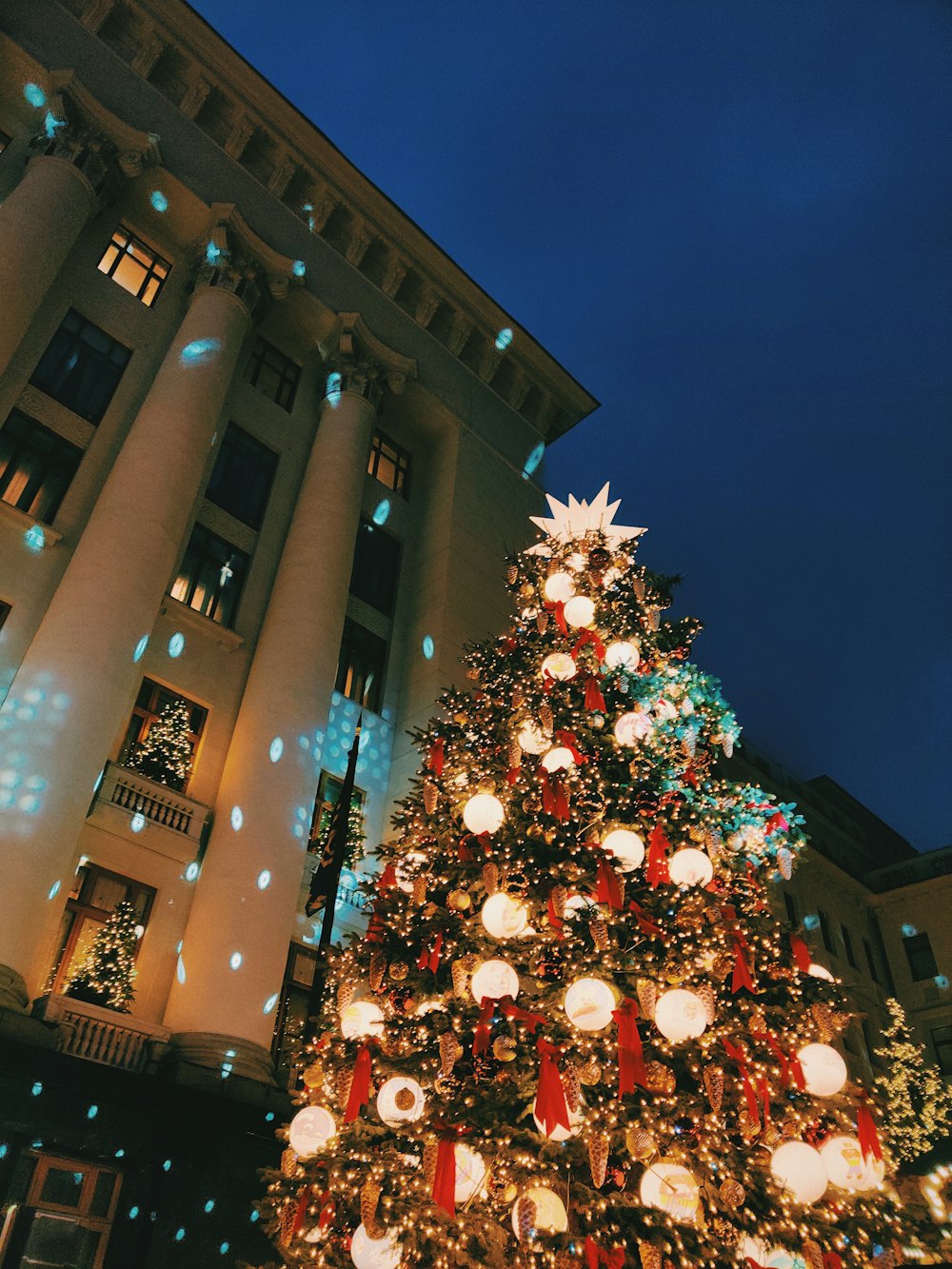 Arbre de Noël avec guirlandes lumineuses près d’un bâtiment en béton brun pendant la nuit