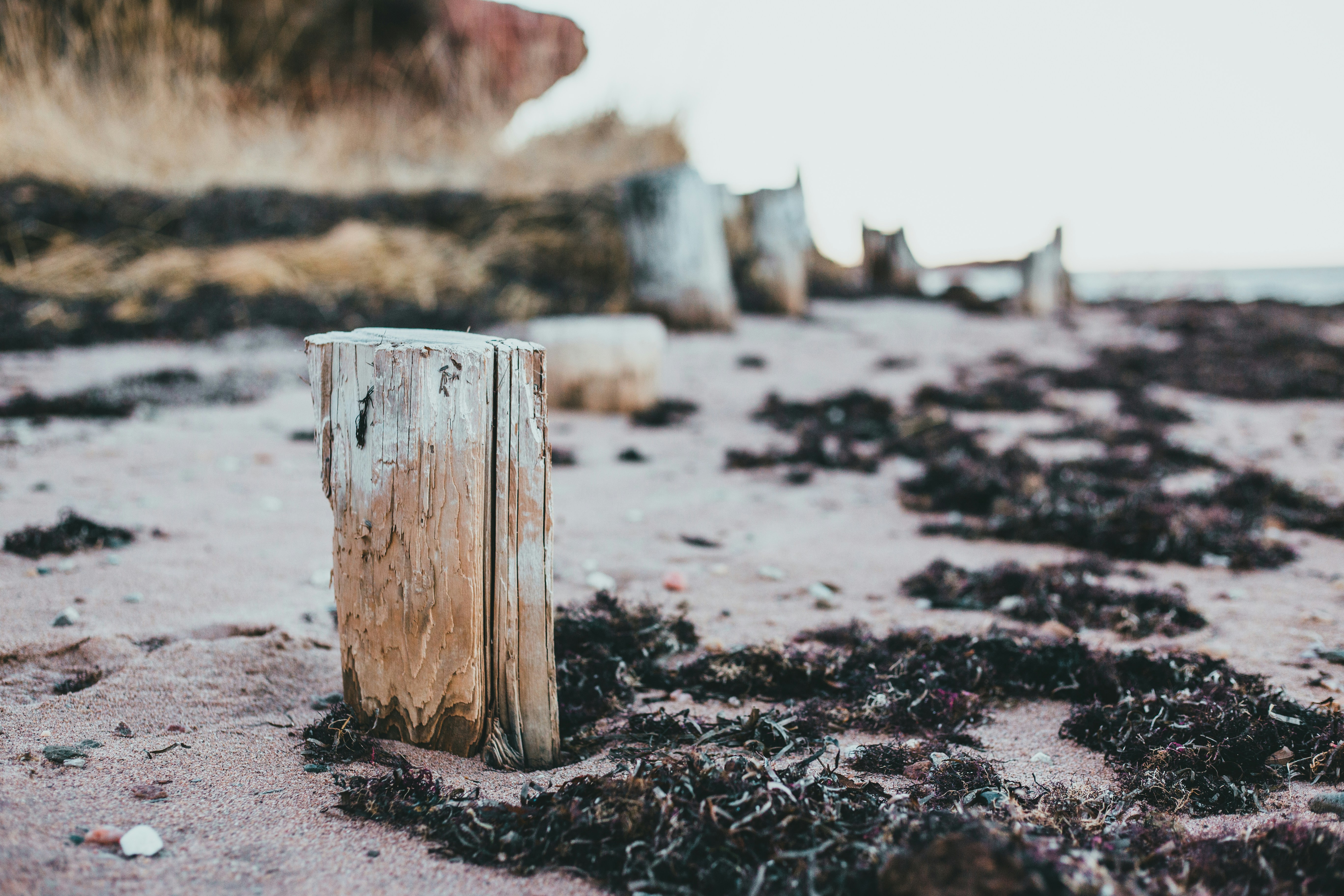 Photo by introspectivedsgn