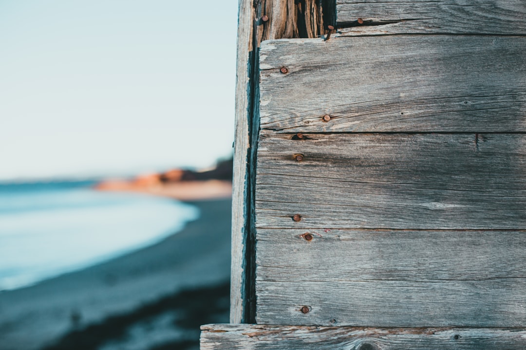 brown wooden fence near body of water during daytime