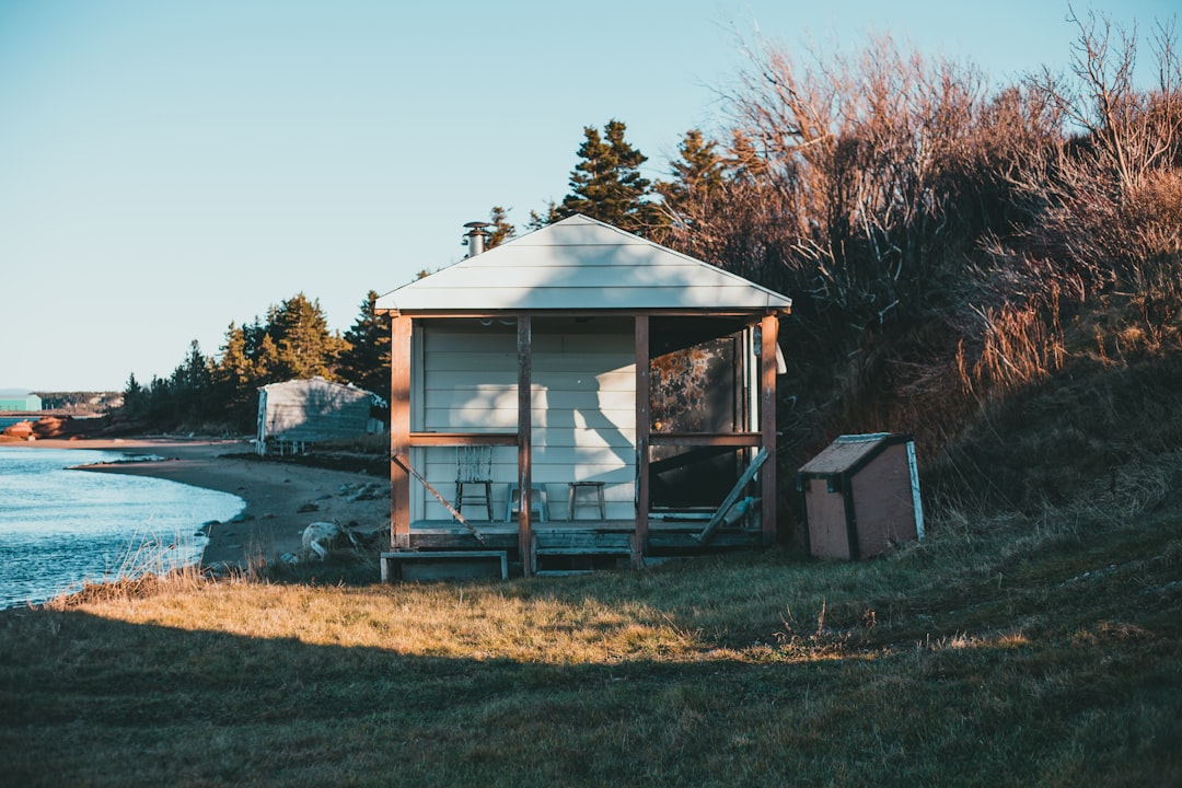 white and brown wooden shed near trees during daytime