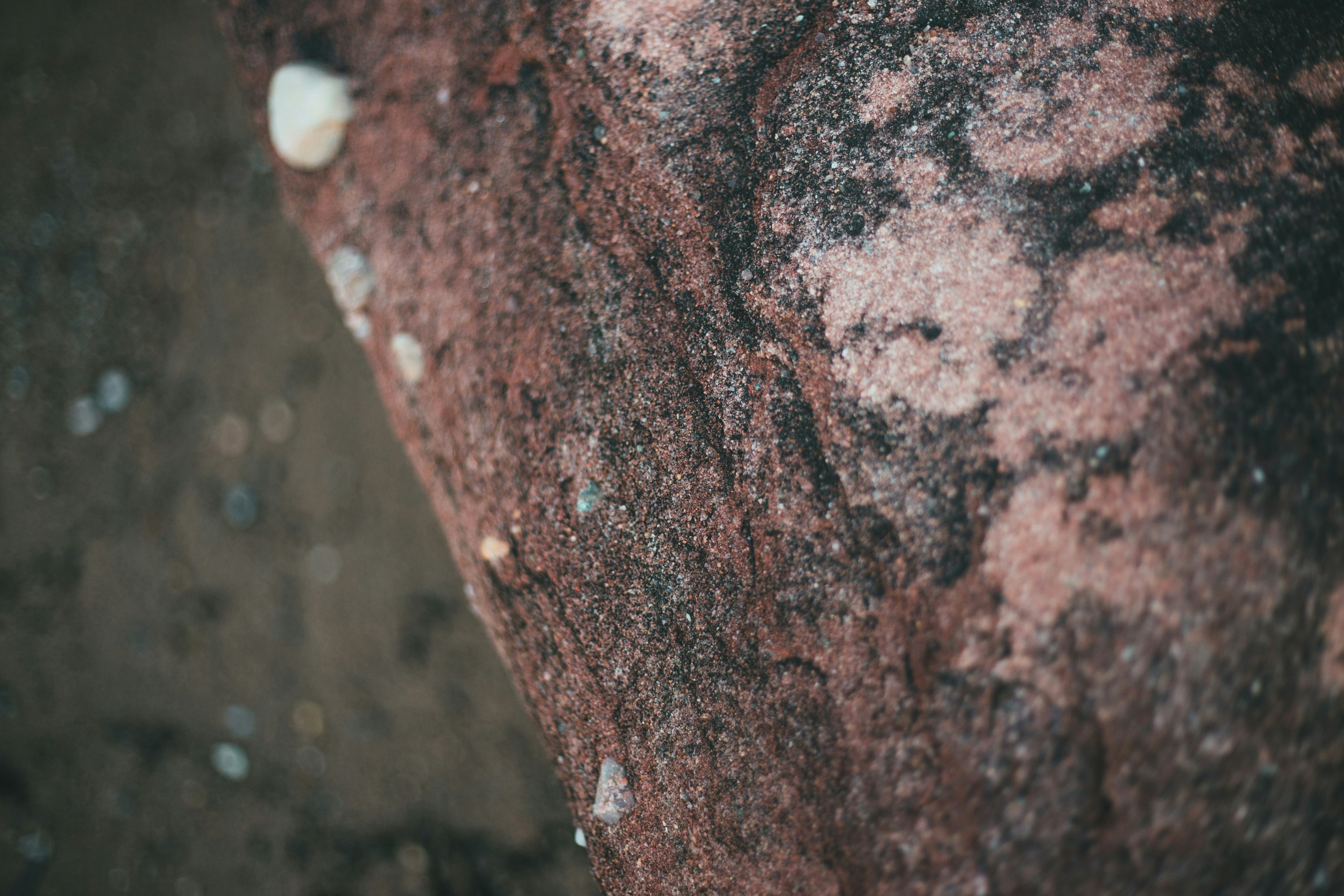 Photo by introspectivedsgn