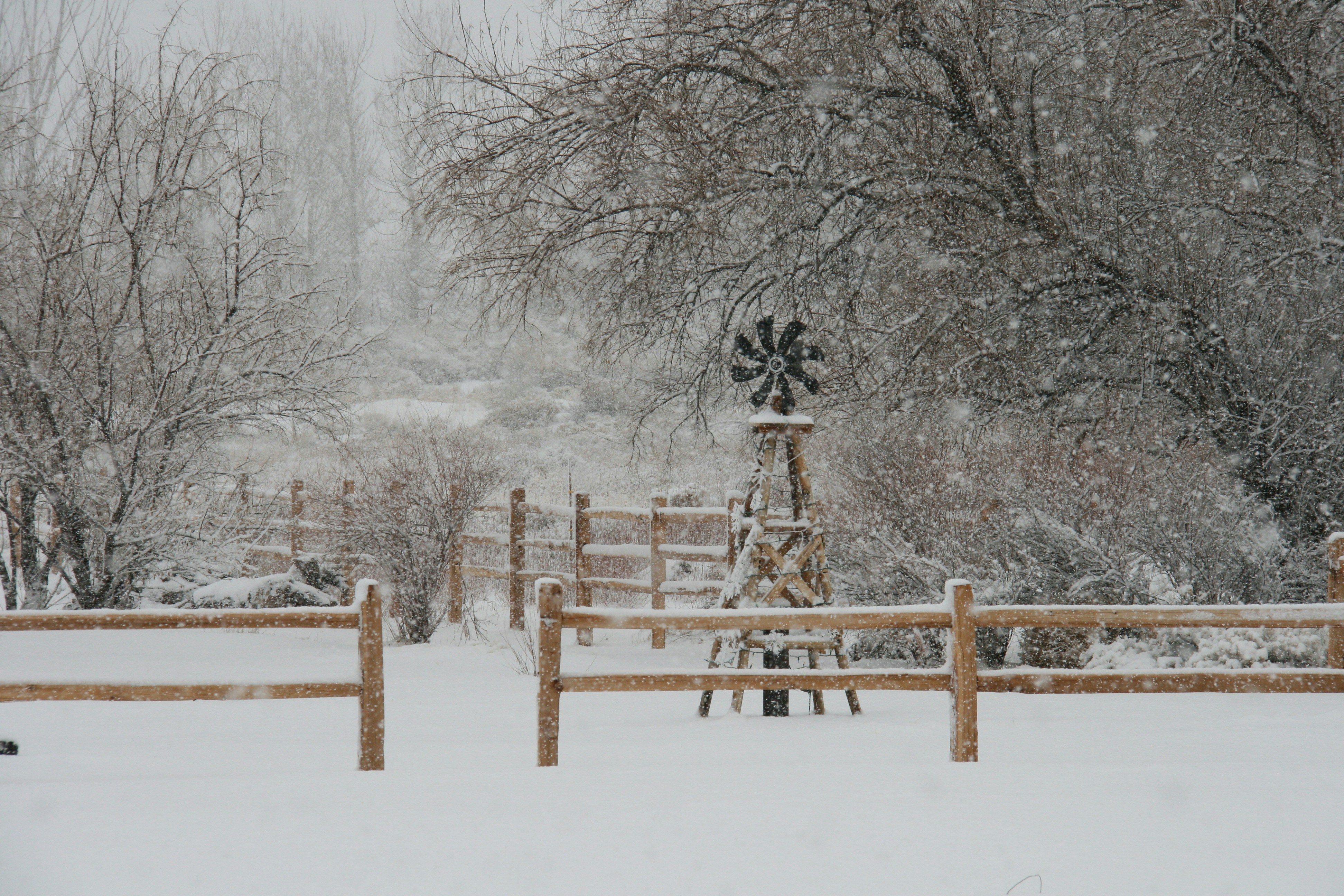 brown wooden fence on snow covered ground