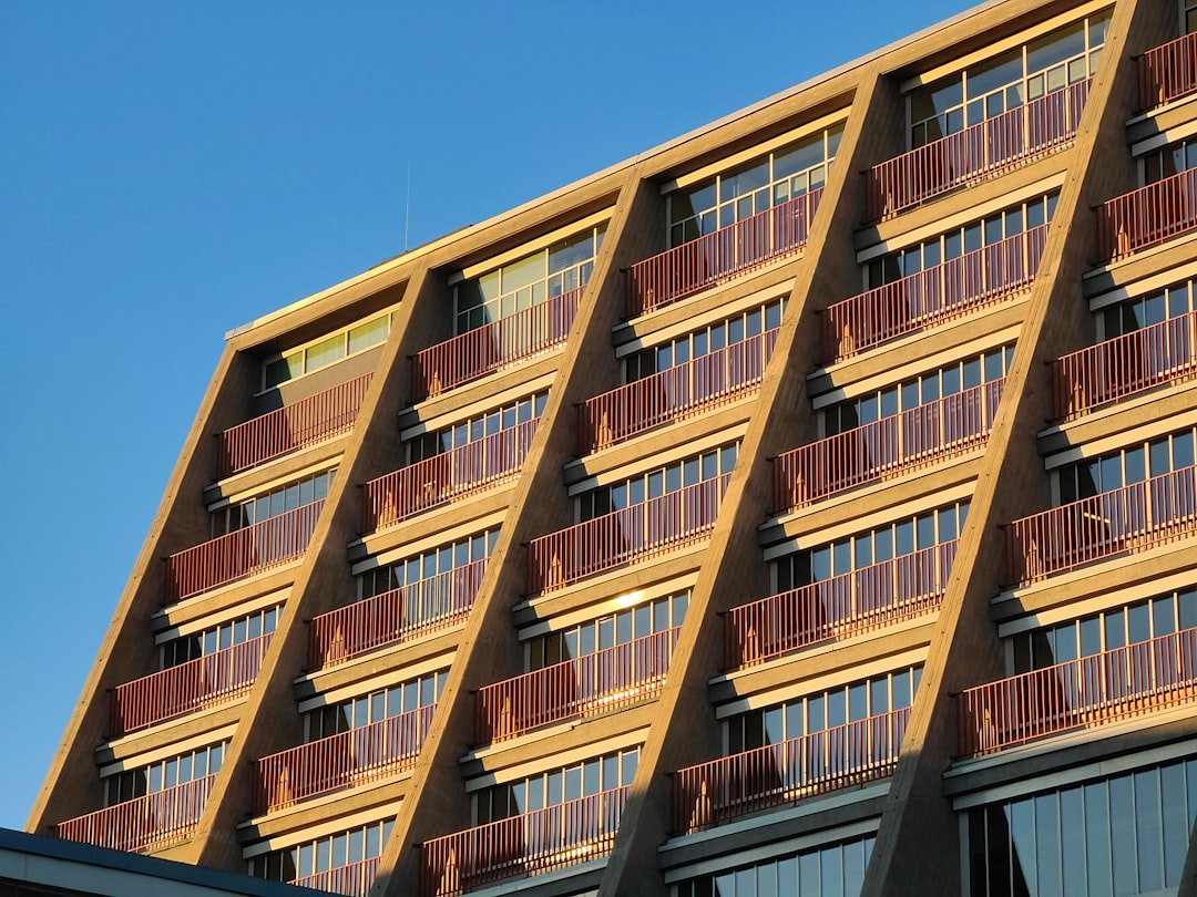 brown wooden building under blue sky during daytime, cologne opera.