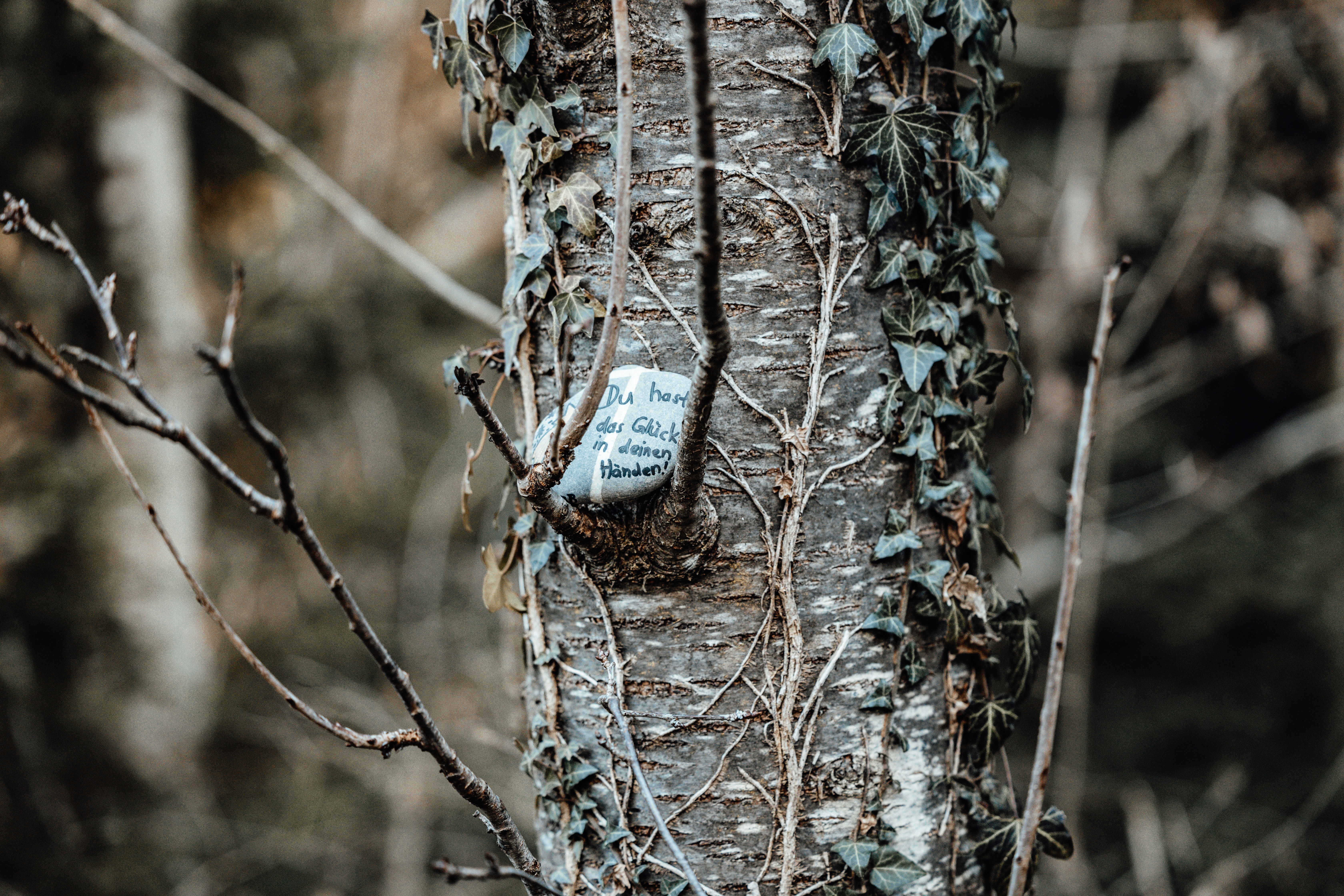 500元刮刮樂-中獎機率分析！金龍獎中100元超虧？