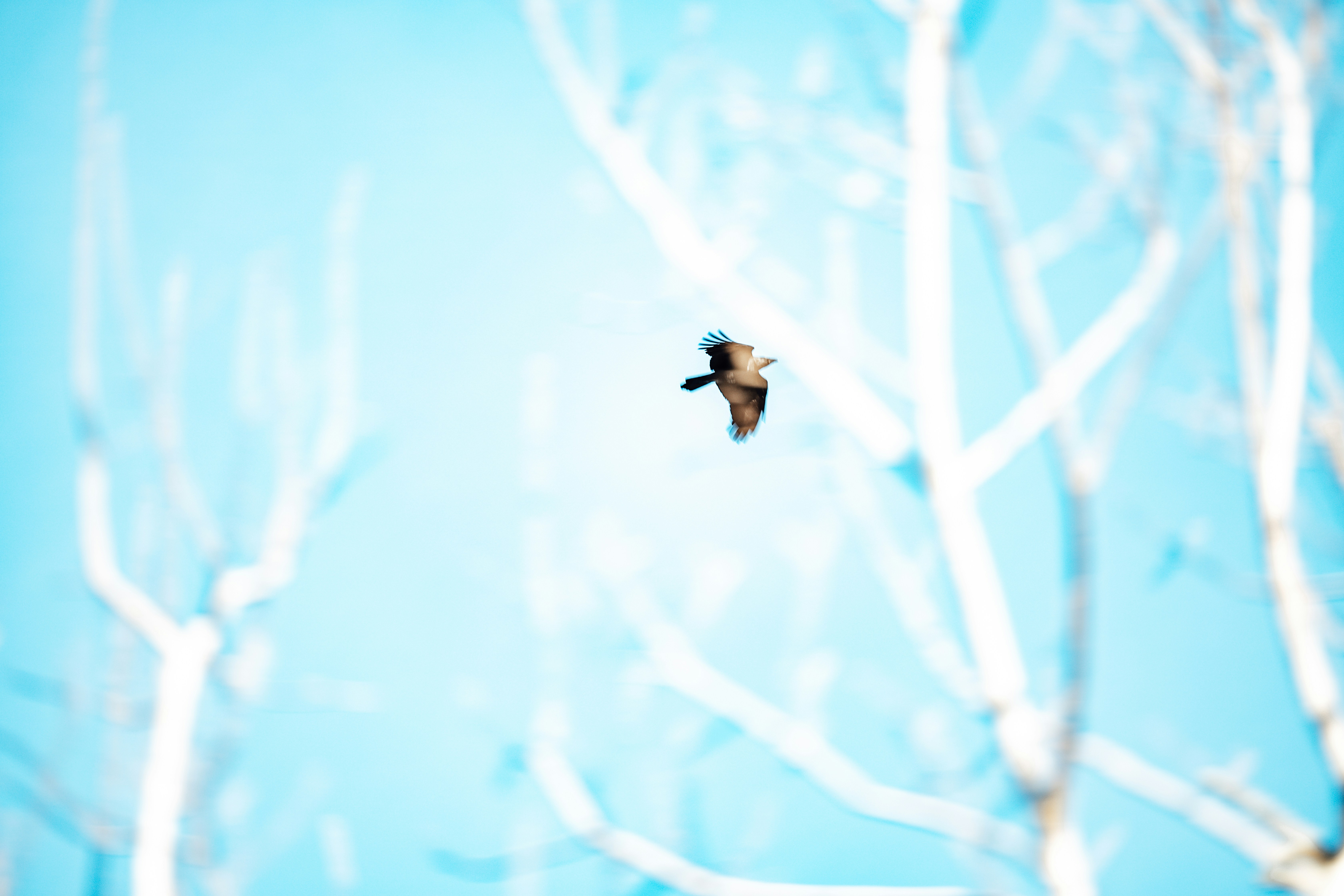 Photo by viewofsamu