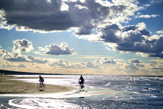 Cyclists enjoying a ride along the coast.