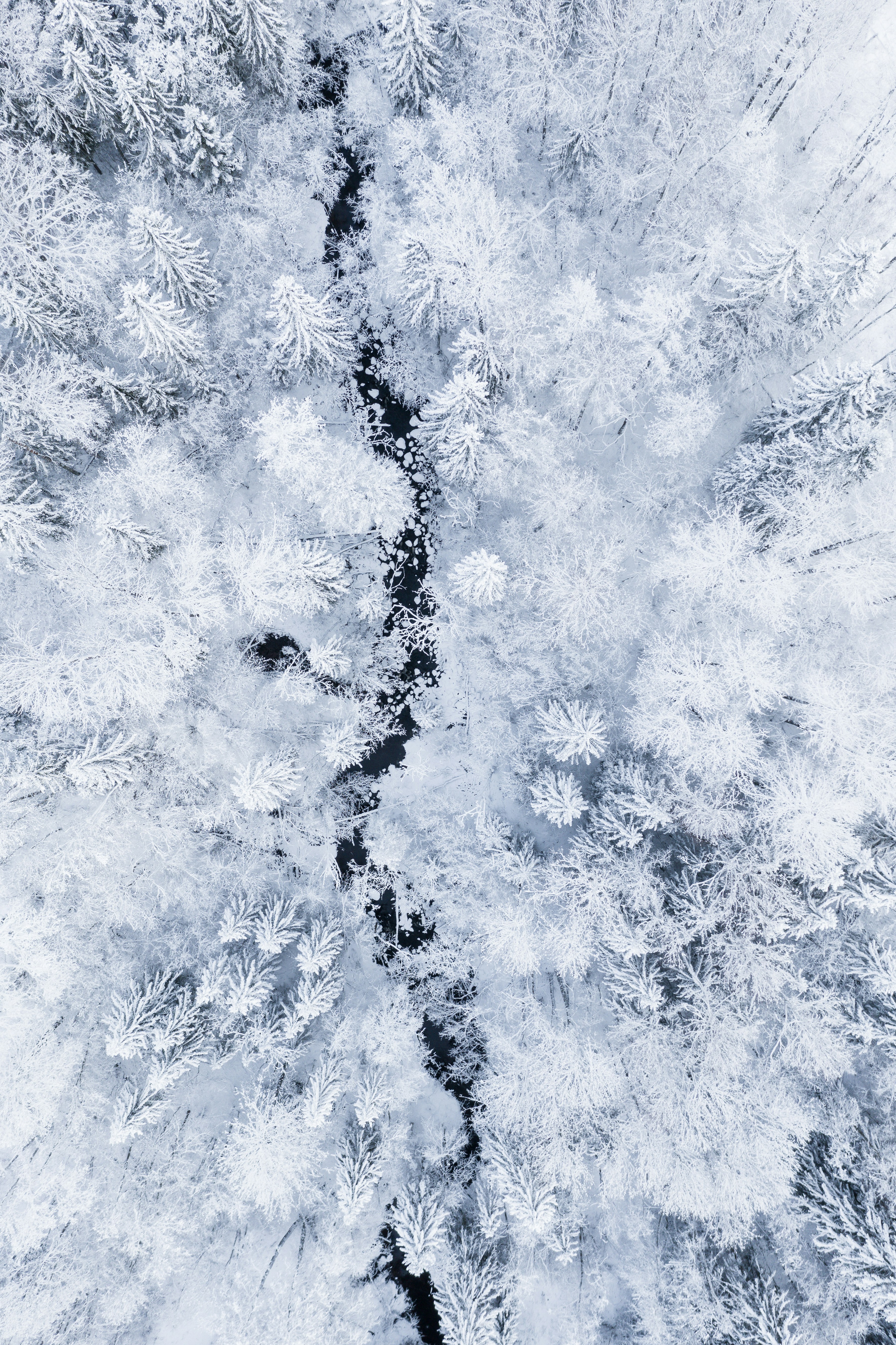 30k Snow Texture Pictures Download Free Images On Unsplash