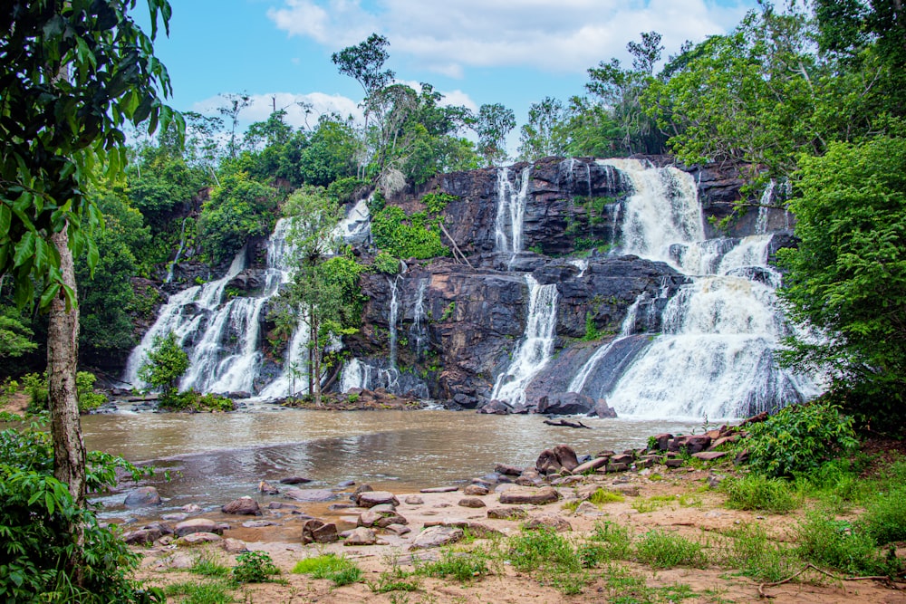 waterfalls near green trees under blue sky during daytime