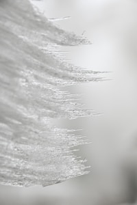 Frosted Elegance