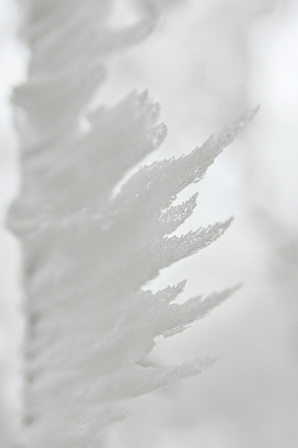 white snow on white background