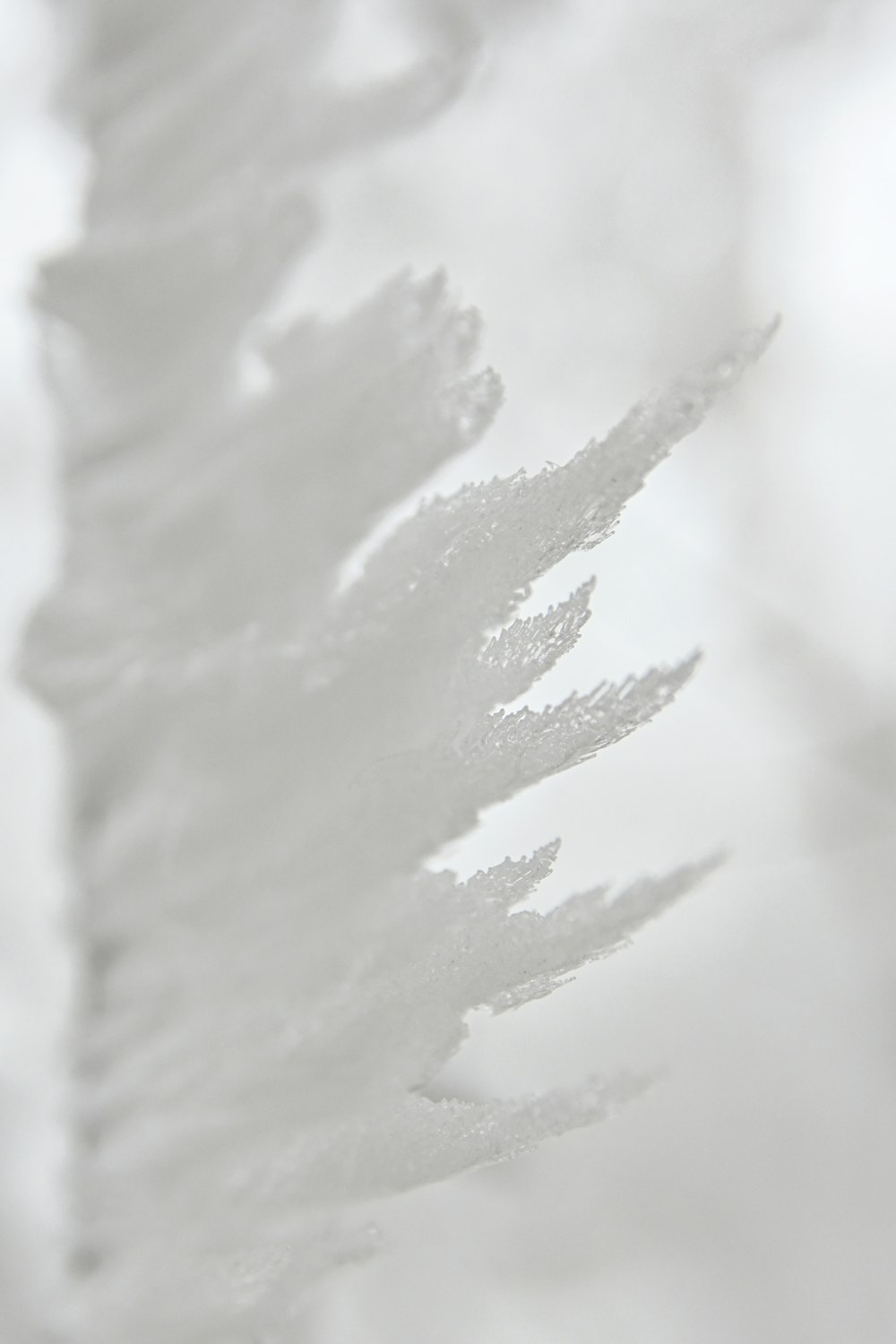 white snow on white background photo – Free Grey Image on Unsplash