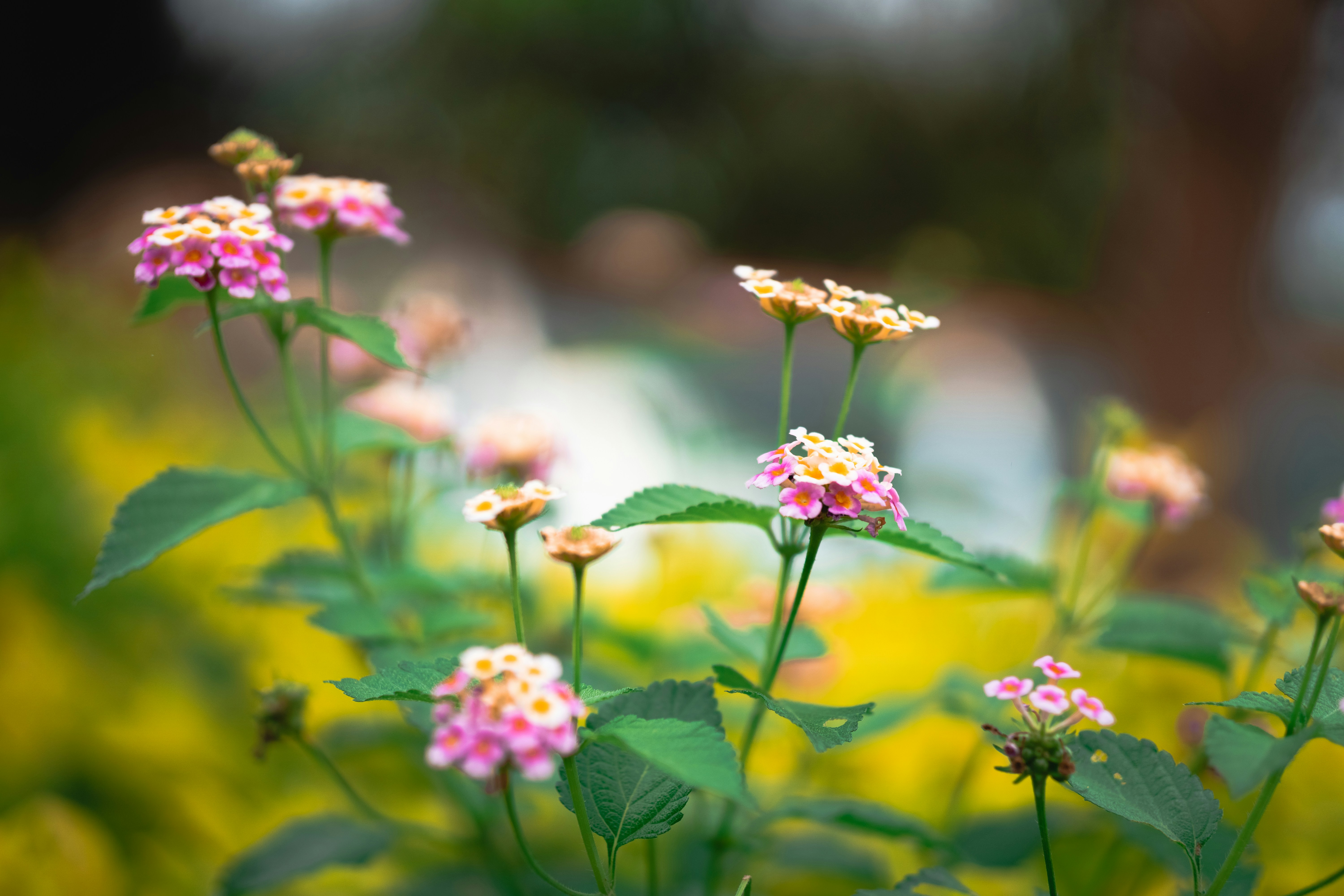 Photo by theriusphotography