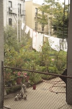 A small urban backyard with a garden filled with plants and flowers. Laundry hangs on a line stretched across the garden, and a decorative set of duck statues is placed next to several potted plants. There is a coiled garden hose on the concrete ground, surrounded by a wire fence. The buildings in the background have fire escapes and are typical of urban architecture.