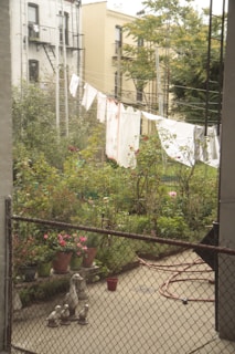 A small urban backyard with a garden filled with plants and flowers. Laundry hangs on a line stretched across the garden, and a decorative set of duck statues is placed next to several potted plants. There is a coiled garden hose on the concrete ground, surrounded by a wire fence. The buildings in the background have fire escapes and are typical of urban architecture.