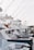 A row of luxury fishing boats or yachts docked at a marina, displaying white hulls and multiple fishing poles extending upwards. The scene shows a busy harbor setting with clear skies.
