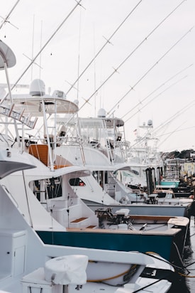 A row of luxury fishing boats or yachts docked at a marina, displaying white hulls and multiple fishing poles extending upwards. The scene shows a busy harbor setting with clear skies.