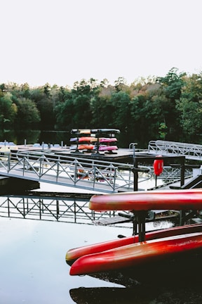 Smiling people preparing their kayaks on a wooden dock with pine trees in the background