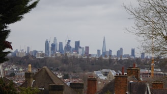 A cityscape of London showcasing residential buildings.