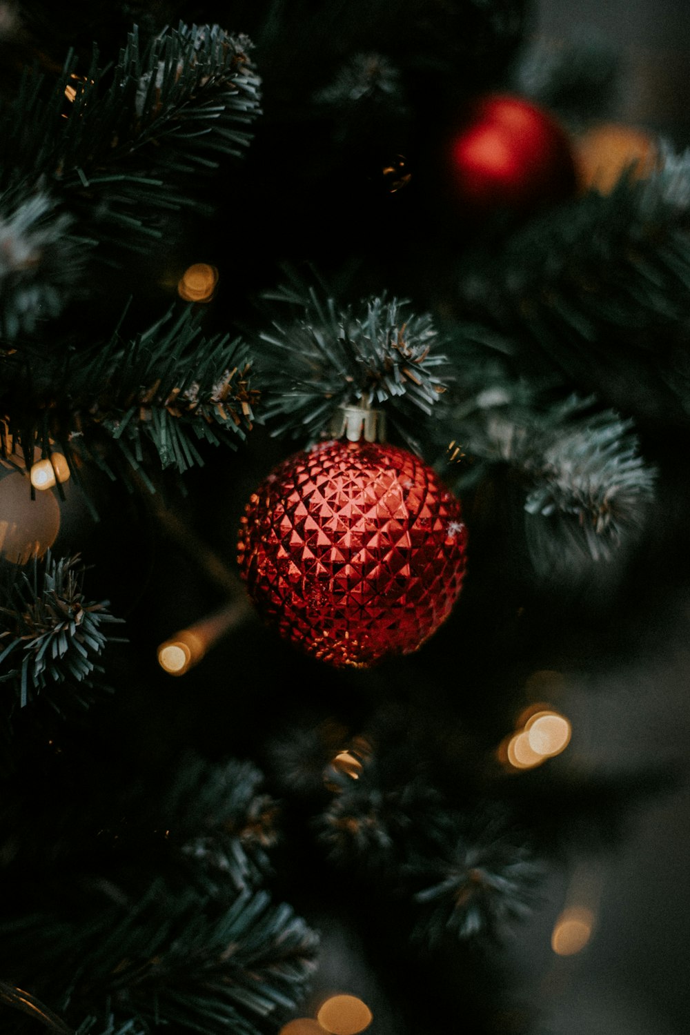 red bauble on green christmas tree