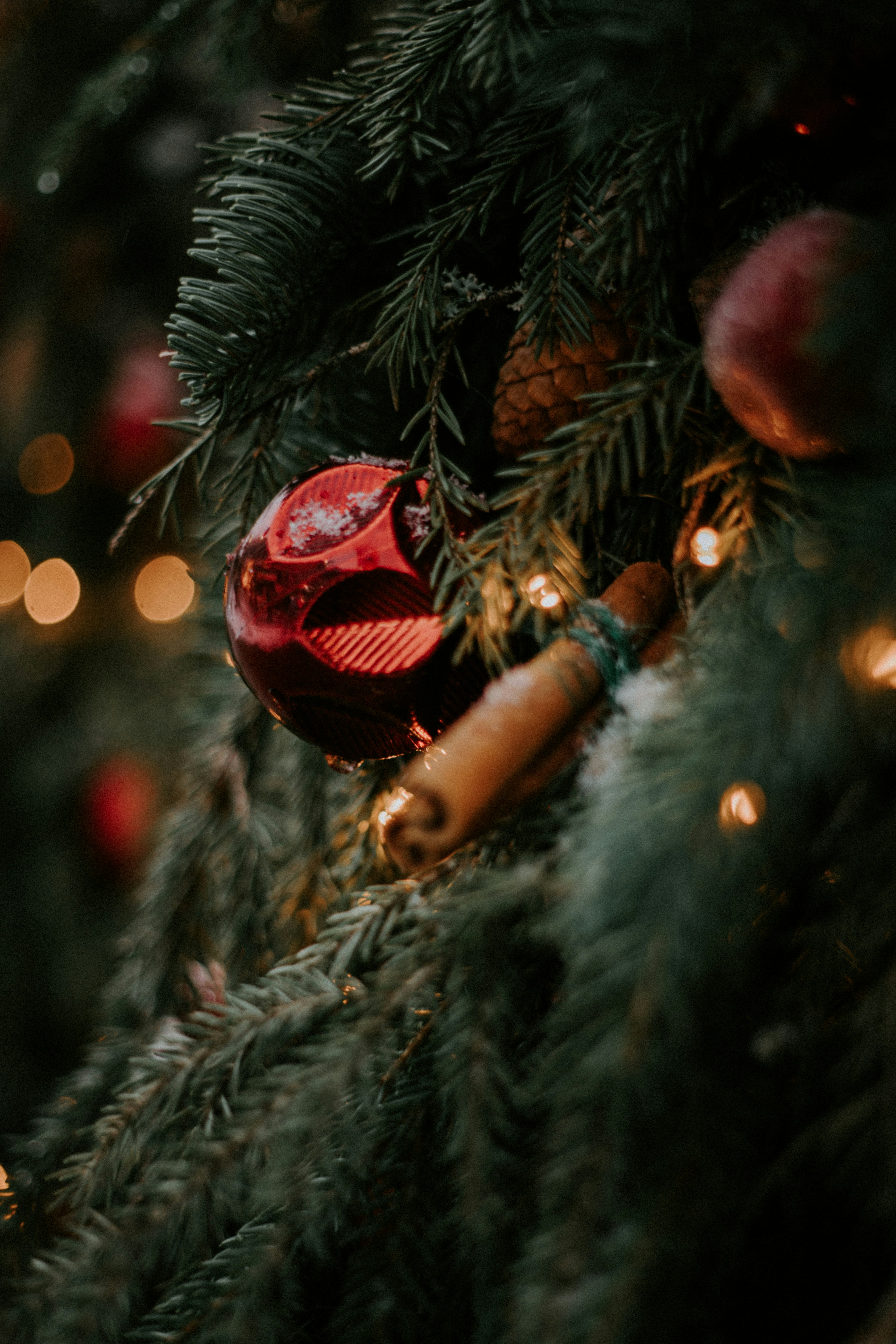 Unsplashで見つけるクリスマスツリーの無料写真