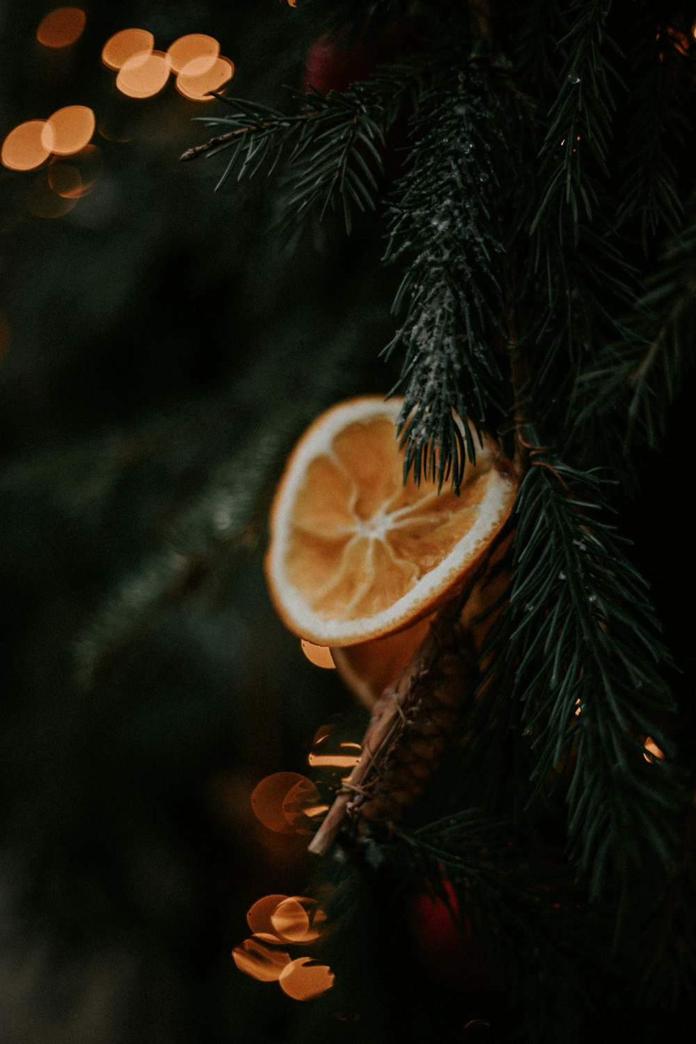 yellow sliced lemon on green pine tree