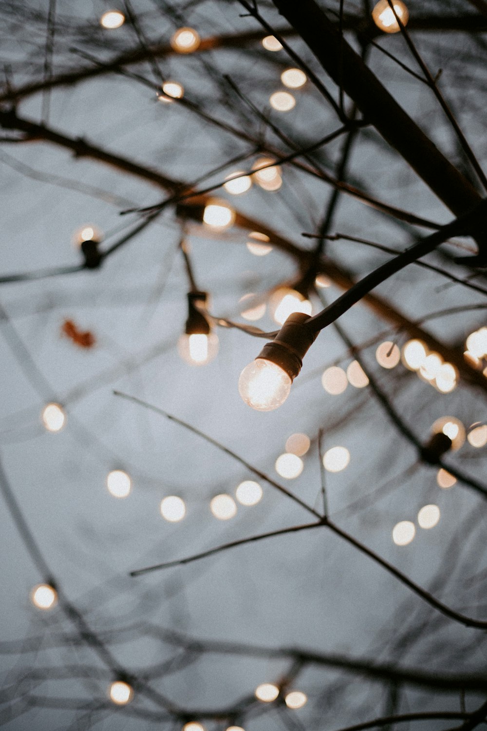 black metal light post with string lights