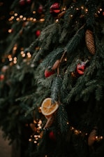 gold christmas baubles on green christmas tree