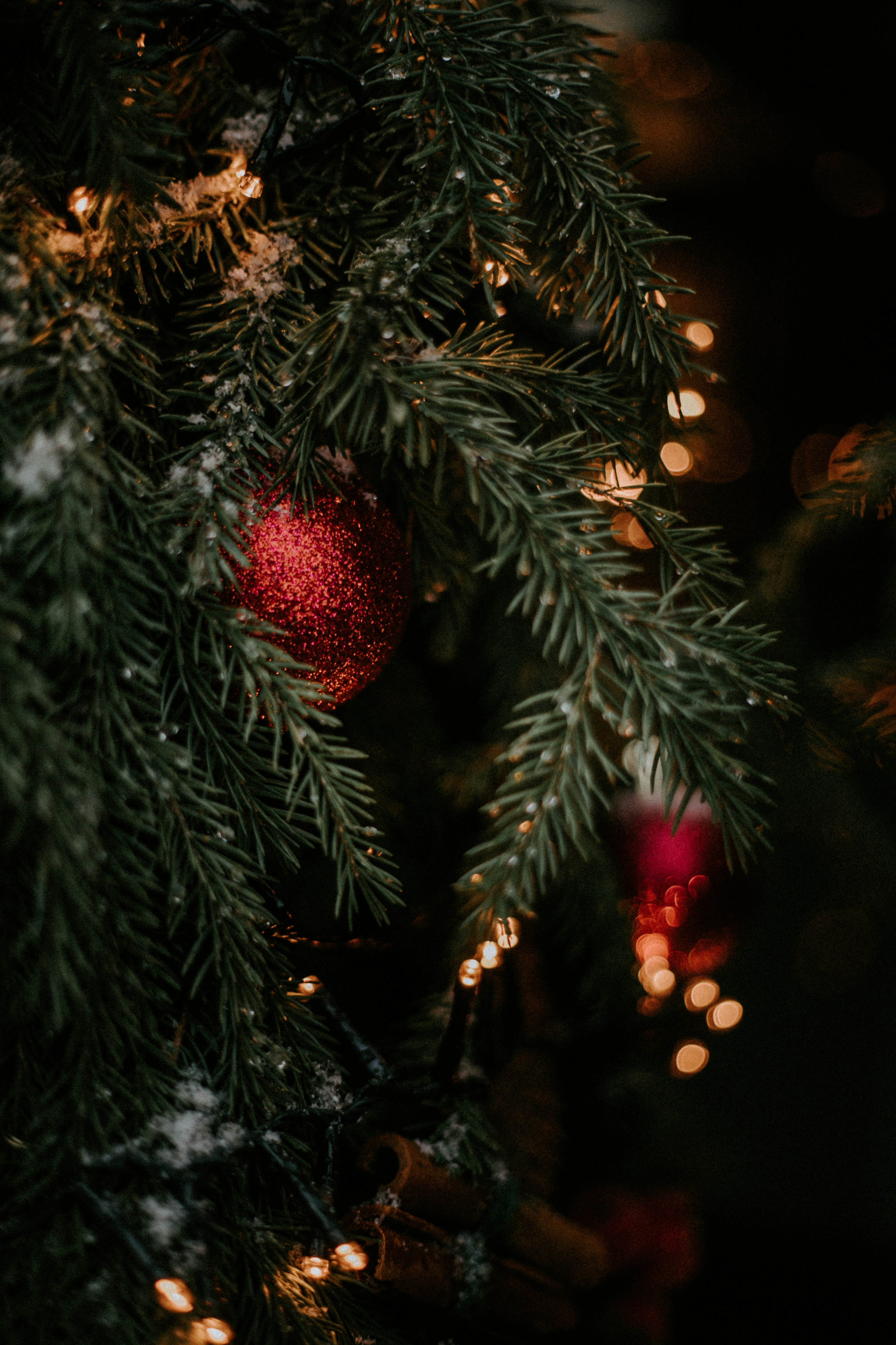 green christmas tree with red baubles