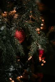 green christmas tree with red baubles