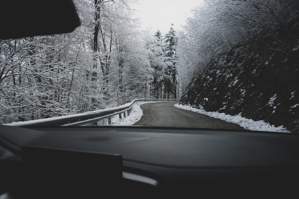 car on road between trees covered with snow during daytime