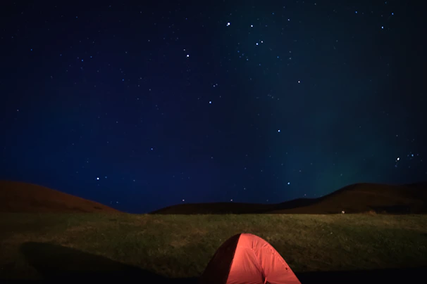 Spacious tent pitch surrounded by olive trees and wild grasses under a starry night sky.