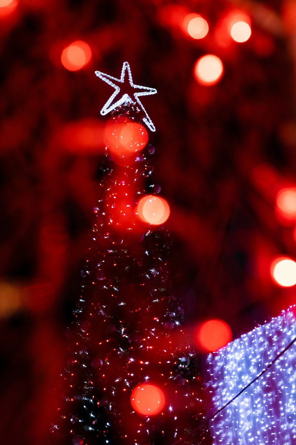 Ein beleuchteter Weihnachtsbaum mit einem Stern oben