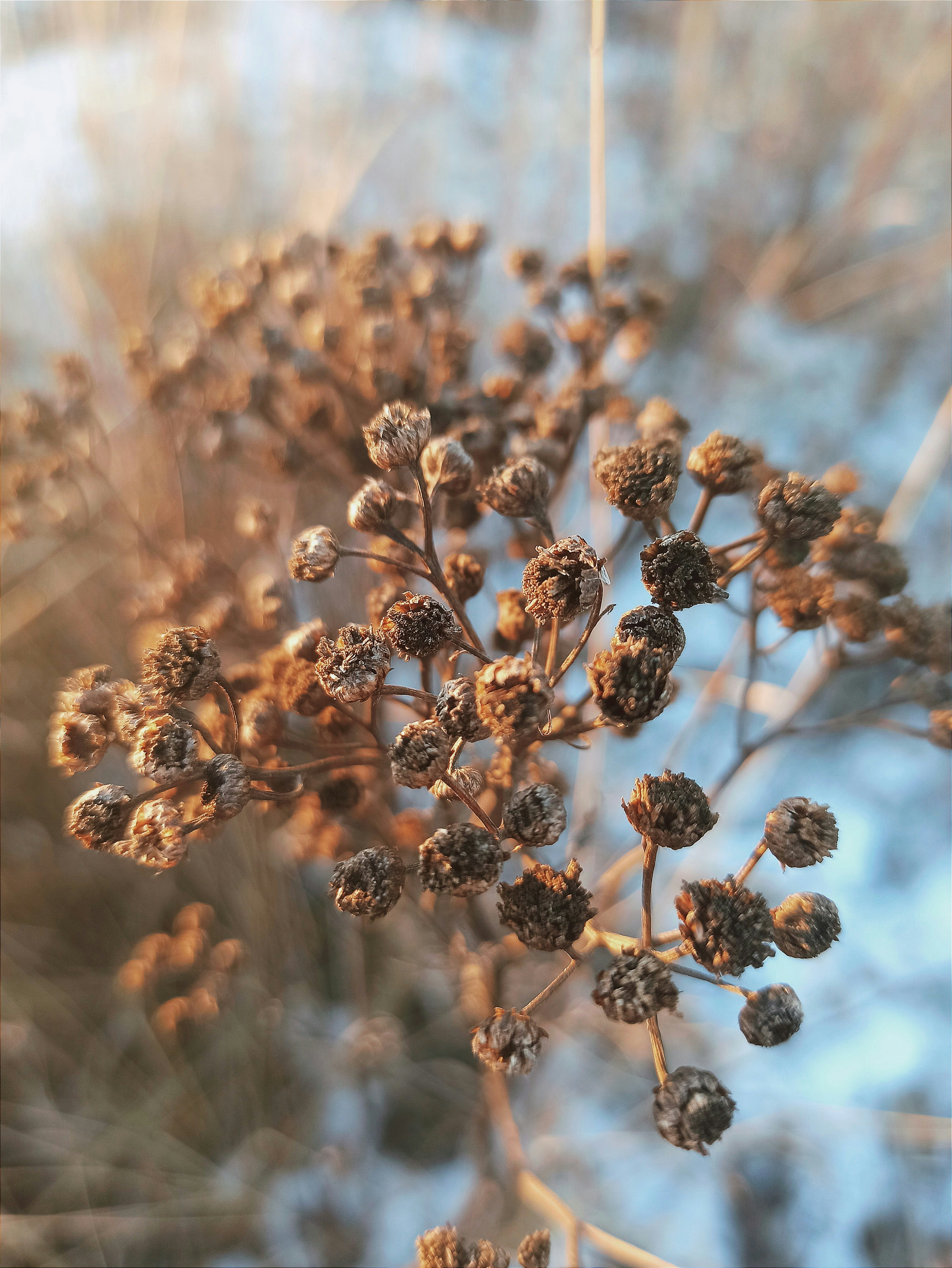 Photo by indi_grunge