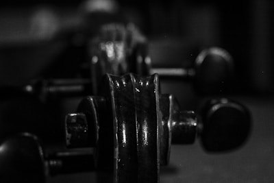 A close-up, black and white image of a string instrument's tuning pegs and scroll. The focus is on the wood's texture and the curves of the instrument.