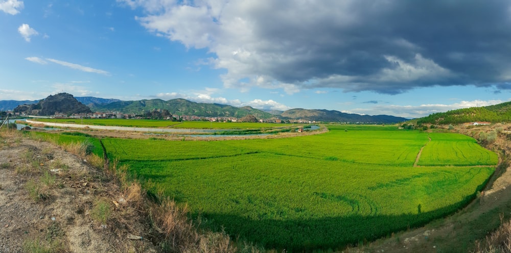 green grass field under blue sky during daytime