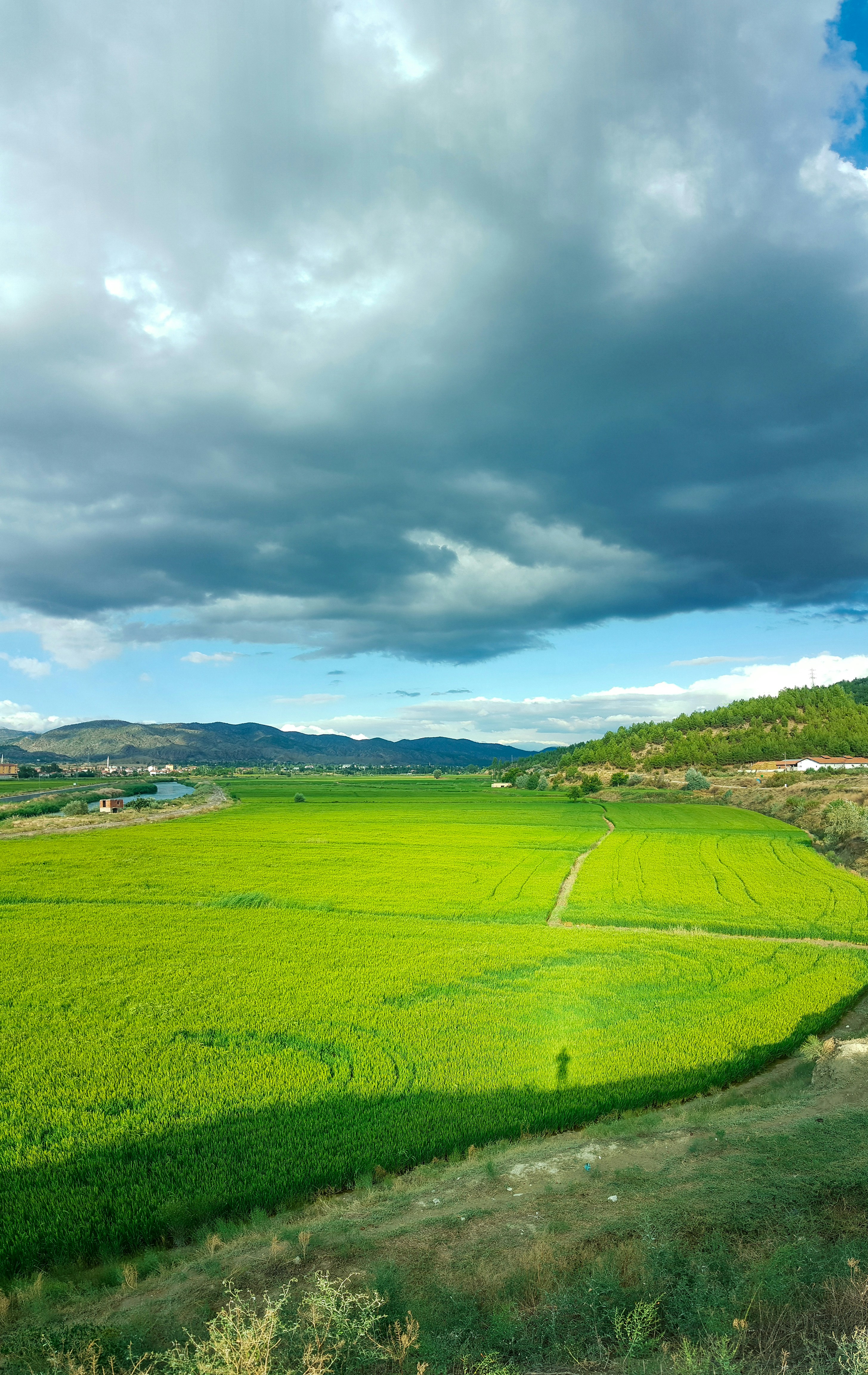 Photo by onurozkardes