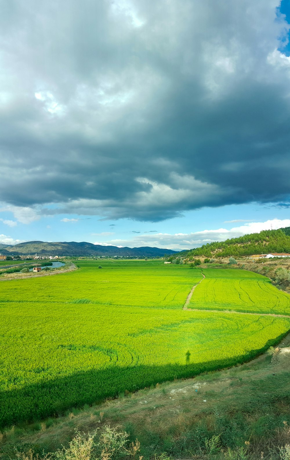 green grass field under cloudy sky during daytime