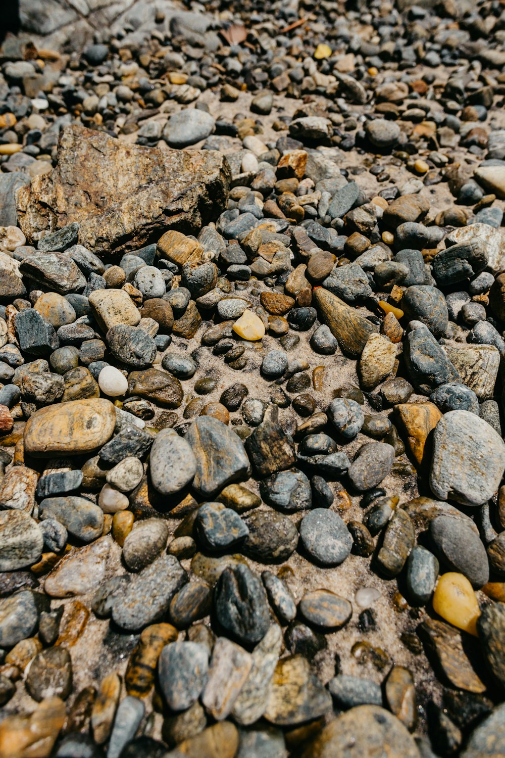 brown and gray stones on gray and white stones