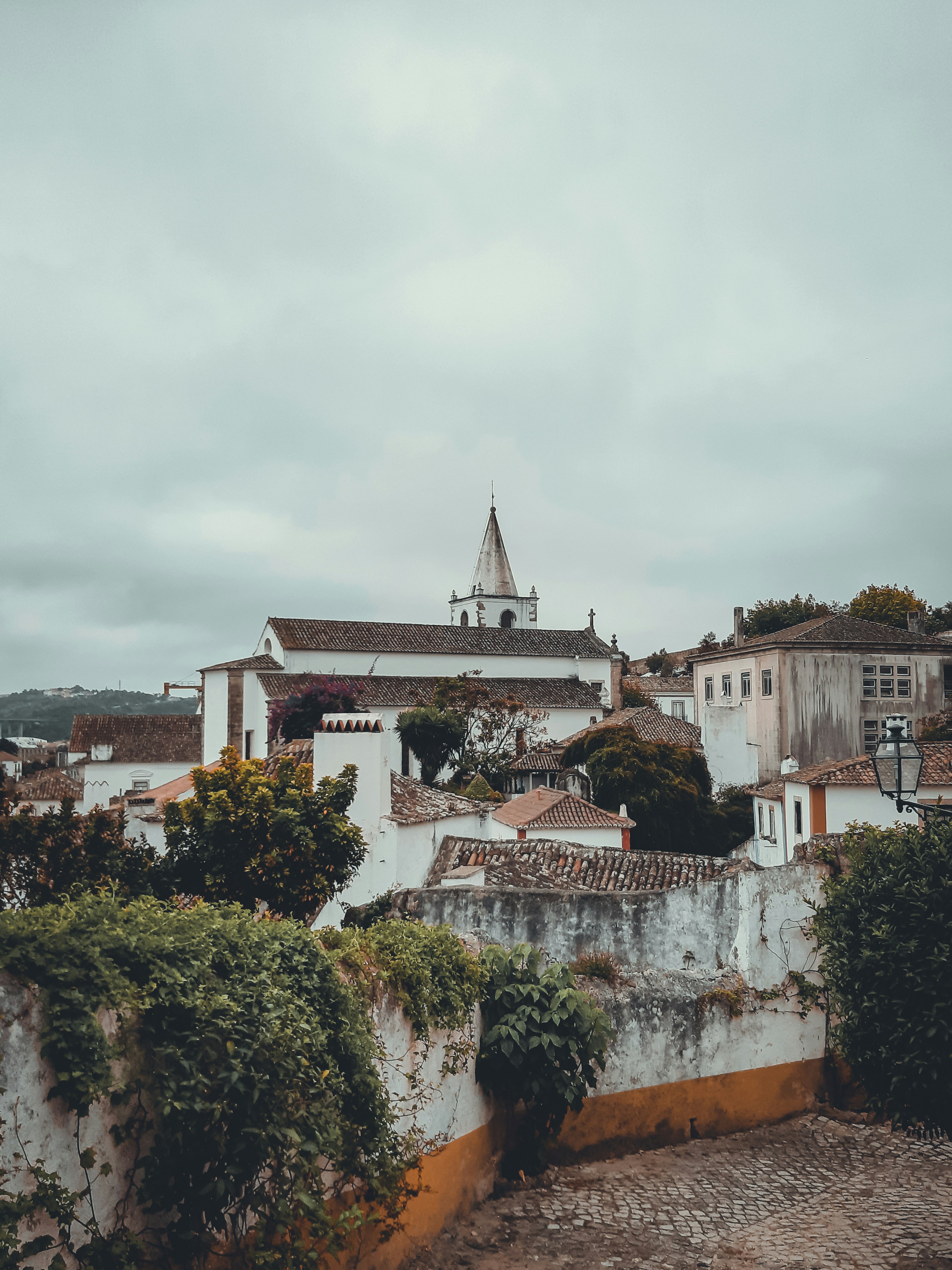 Photo by sofiavilaflor