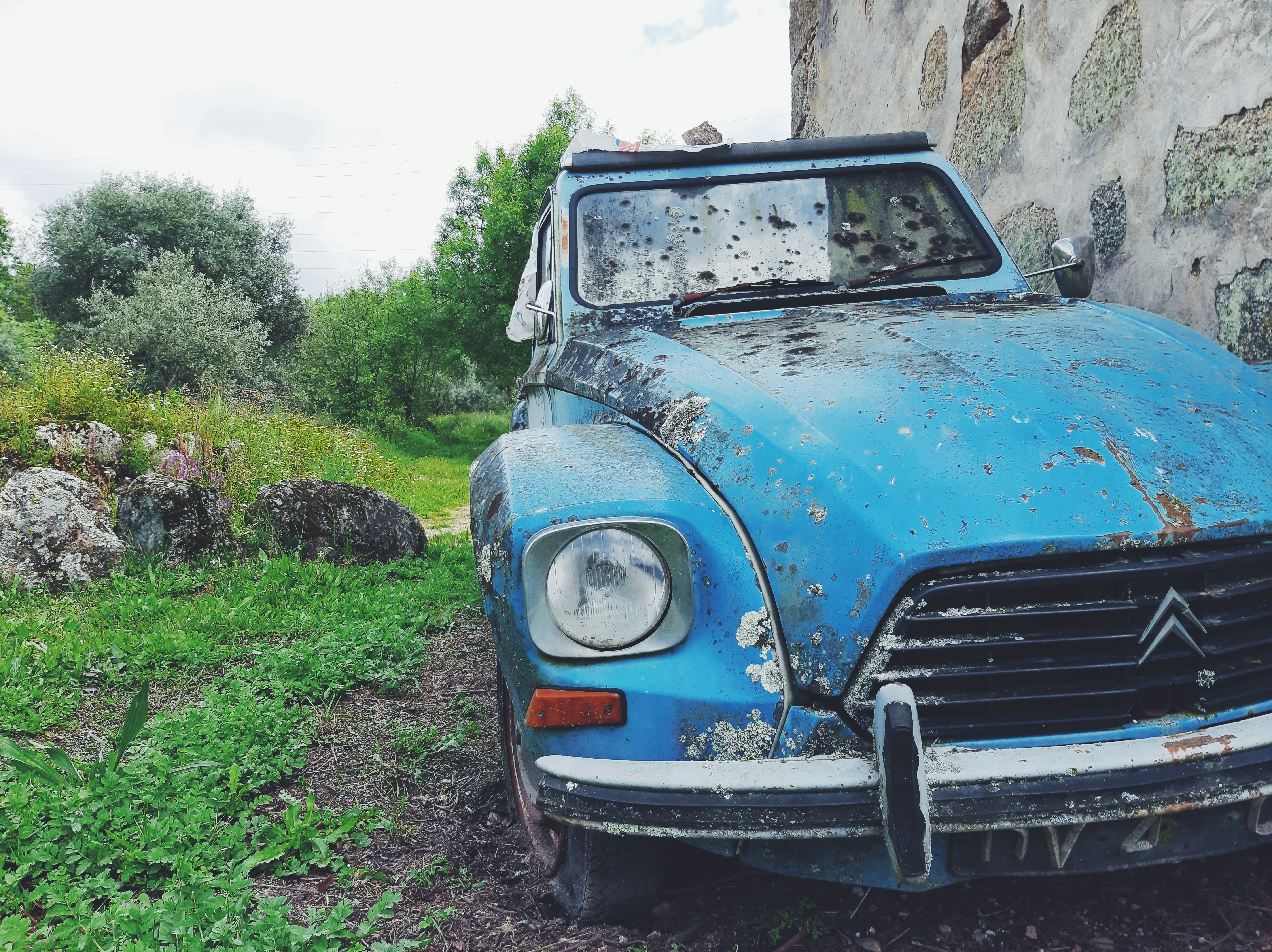 blue car parked on green grass field during daytime