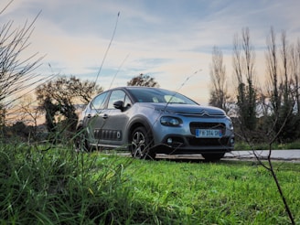 blue bmw m 3 coupe on green grass field during daytime