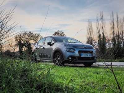 blue bmw m 3 coupe on green grass field during daytime