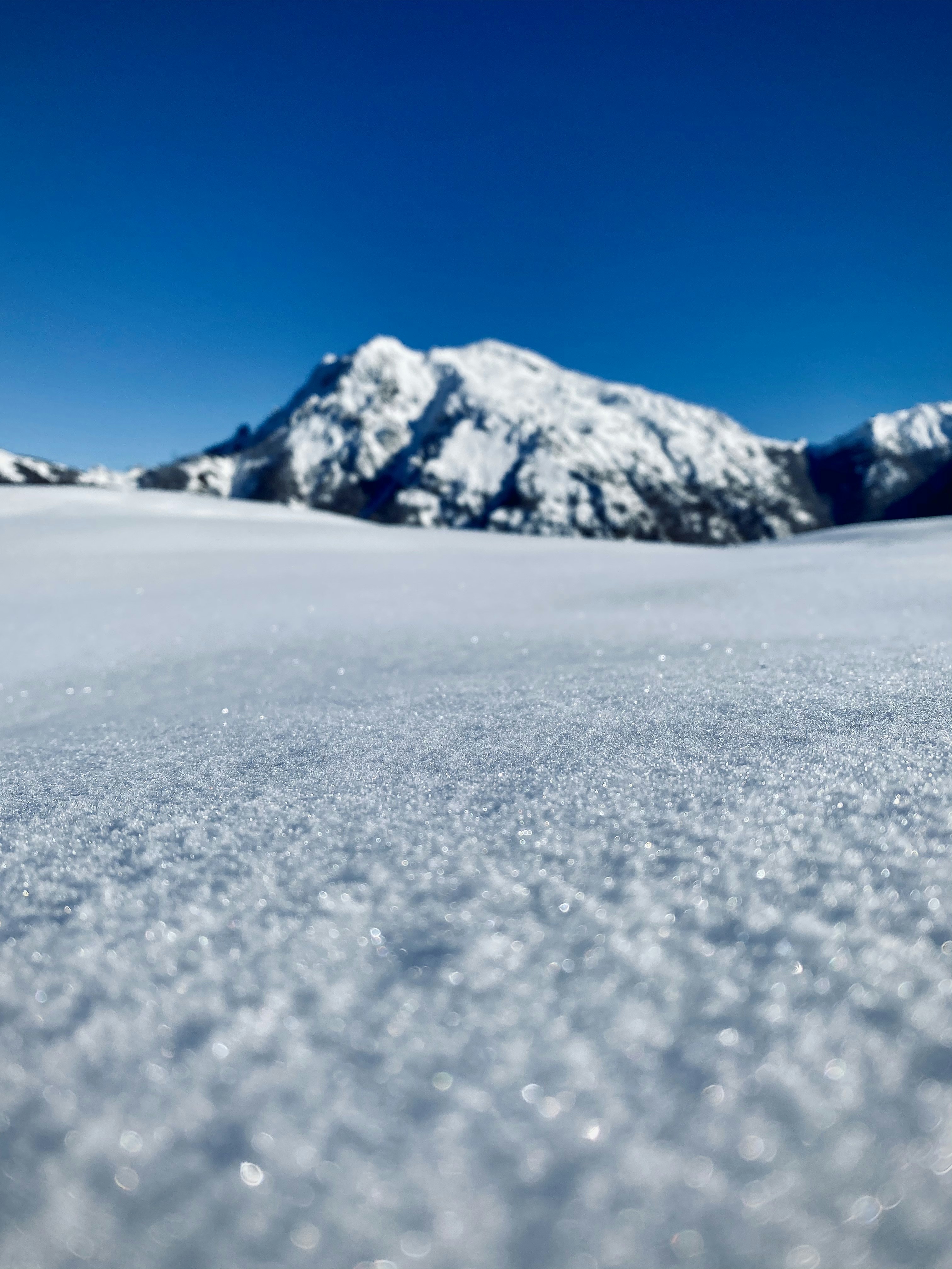 How to Substitute Taleggio Cheese