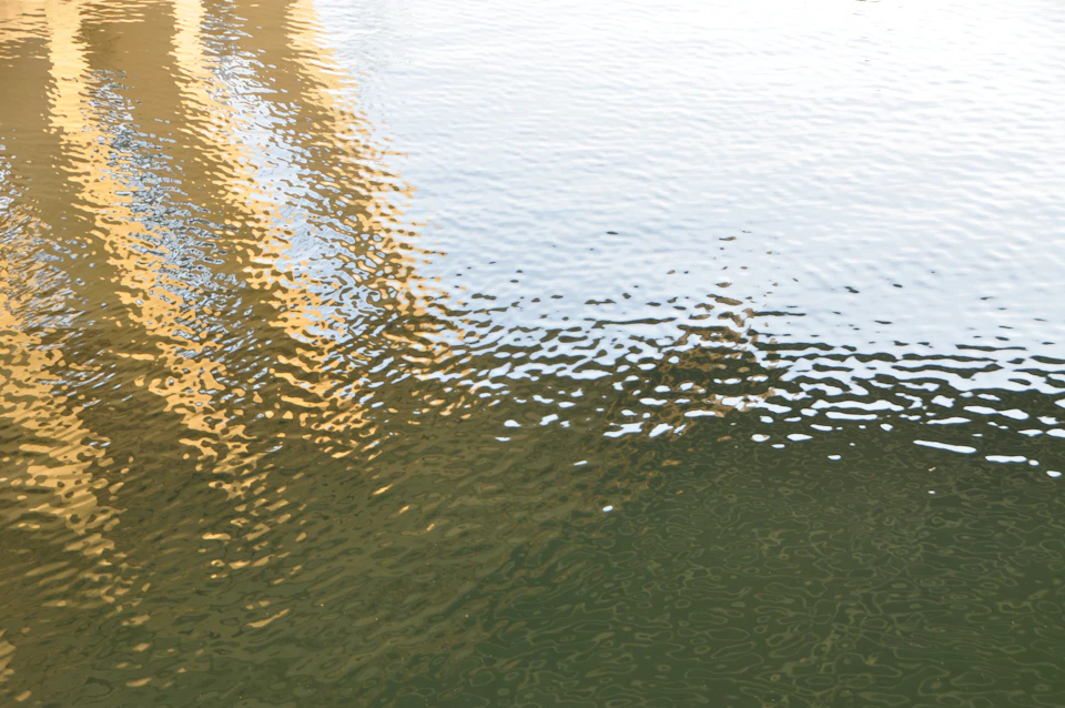 The image shows a serene scene at a river, with its calm waters reflecting the surrounding environment. The water's surface is disturbed by ripples and waves that create a mirror-like effect, adding depth to the scene. In the background, there are three tall buildings standing in the distance, their reflections visible on the water's surface as well.

The image is taken from an overhead perspective, providing a comprehensive view of the river and its surroundings. The colors in the photo are predominantly green and brown, with some yellow elements adding contrast to the scene.