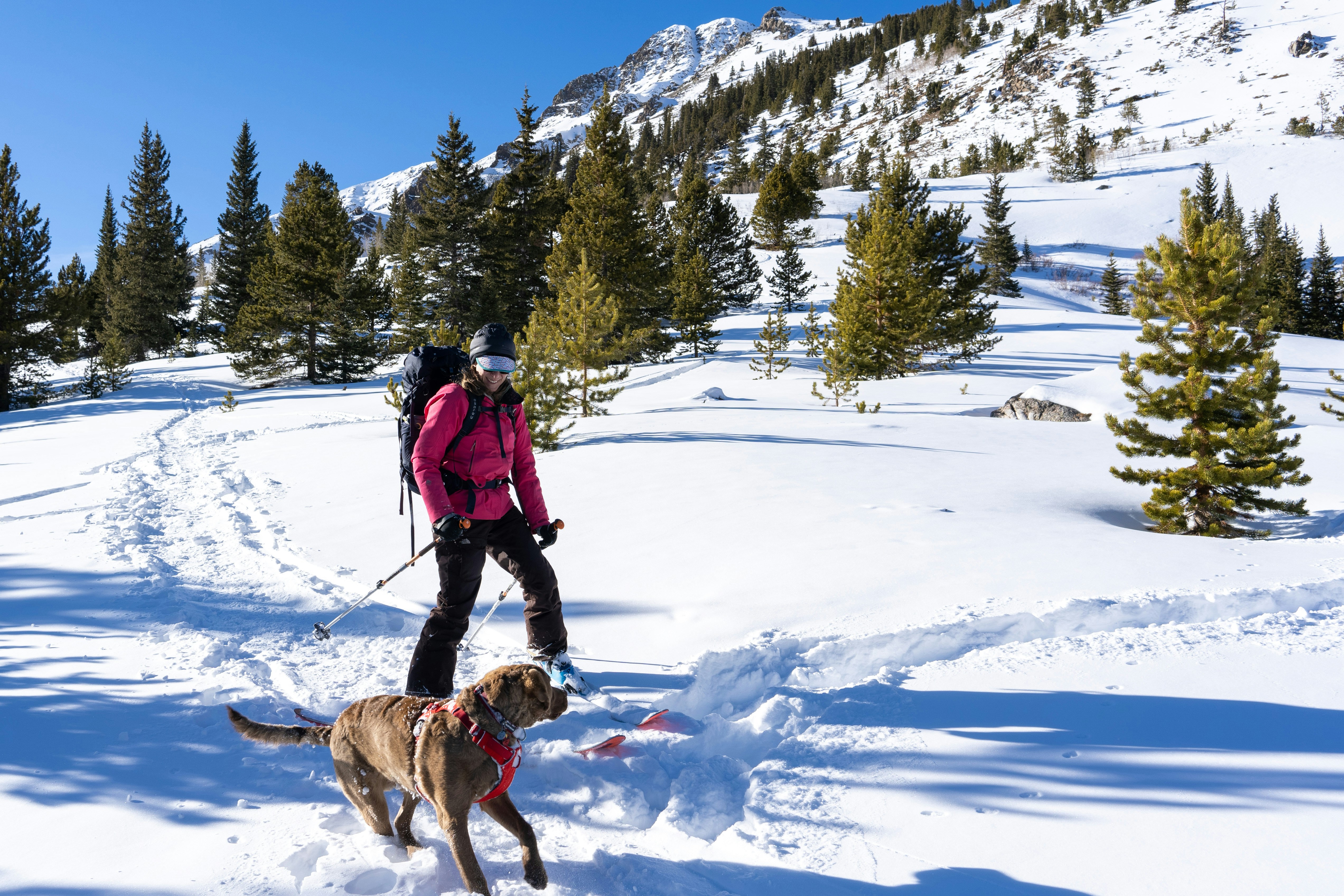 man in blue jacket and brown dog walking on snow covered ground during daytime