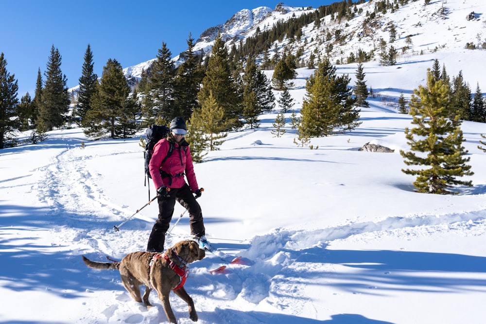 man in blue jacket and brown dog walking on snow covered ground during daytime