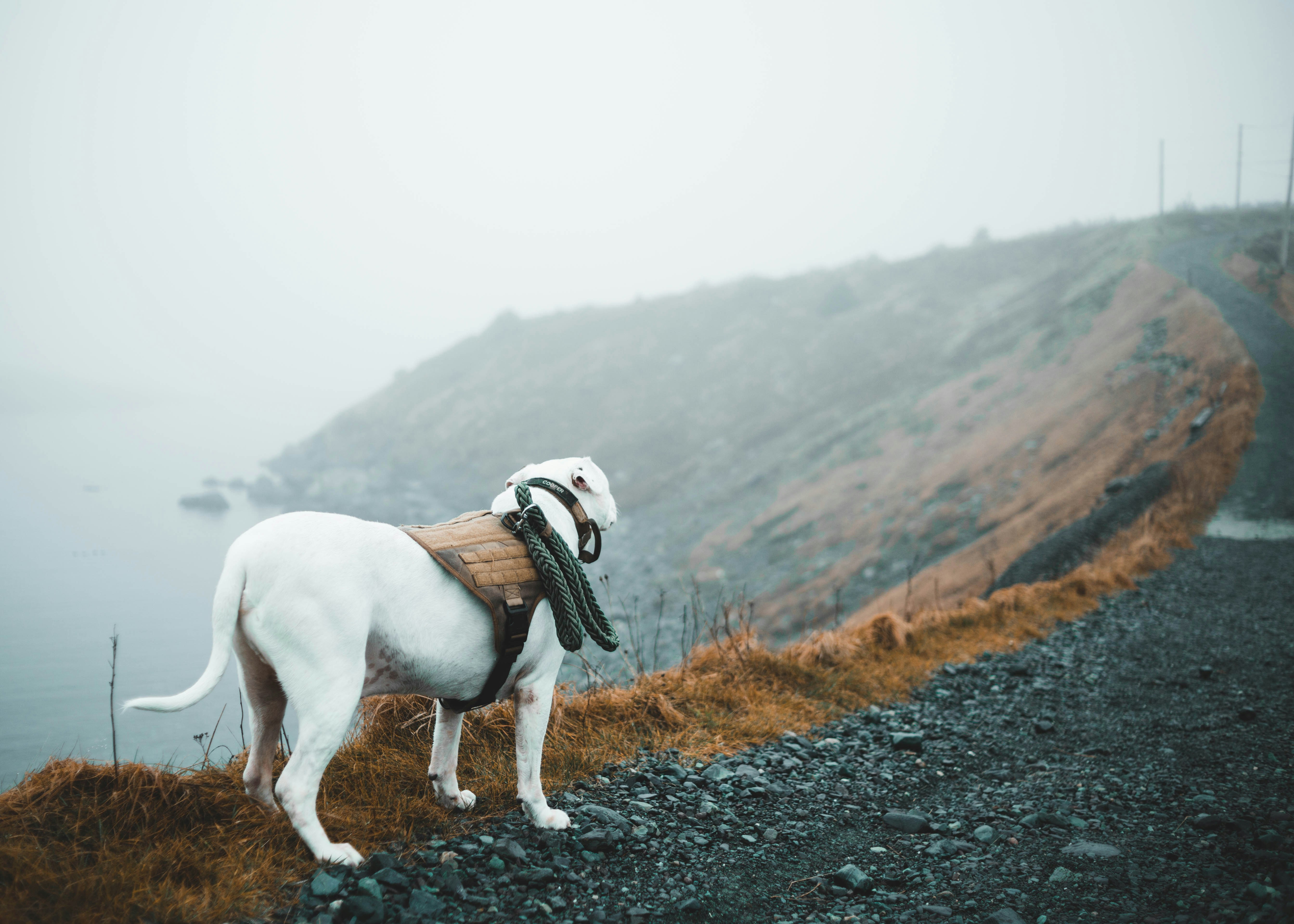 Photo by theshuttervision