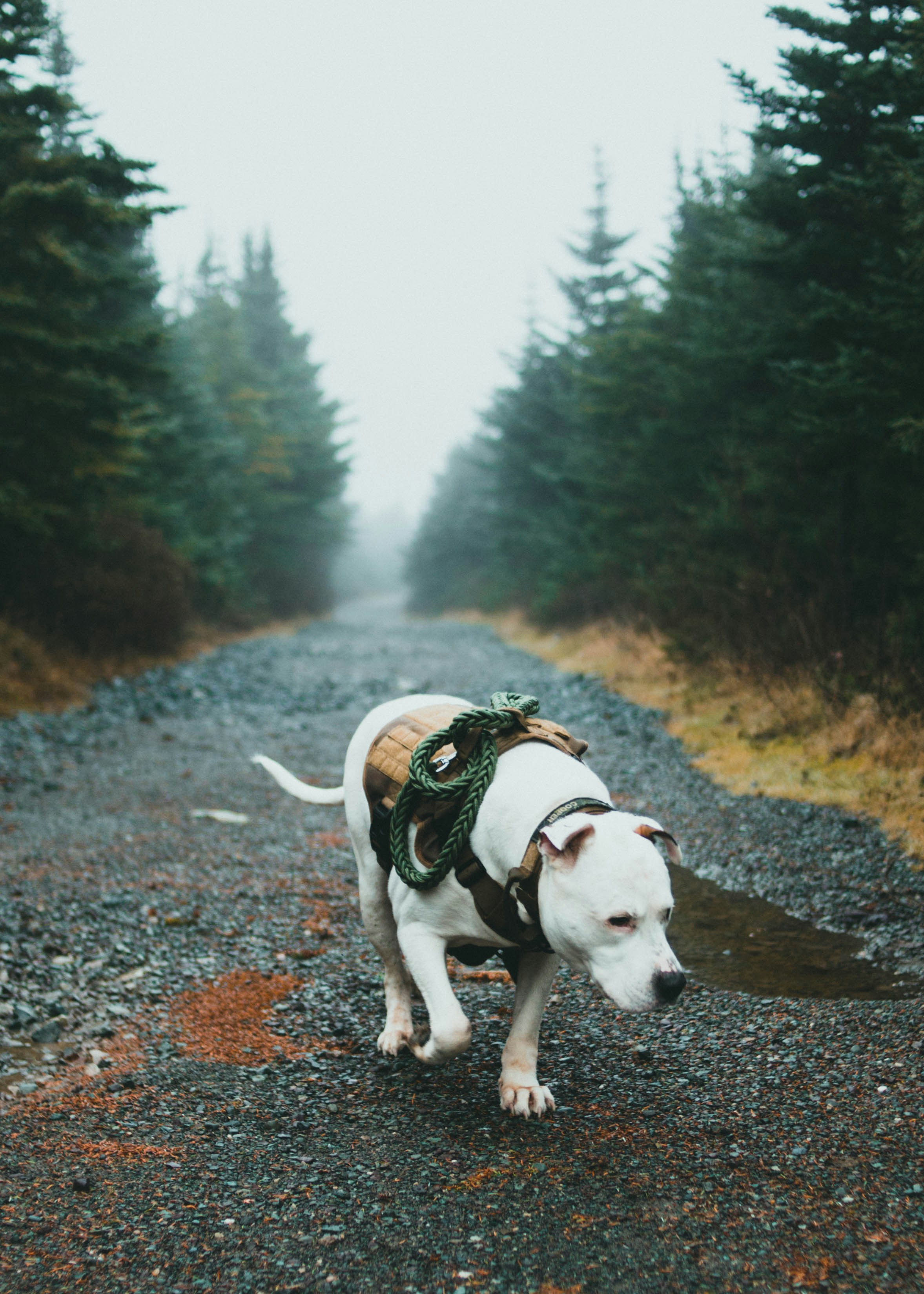 Photo by theshuttervision