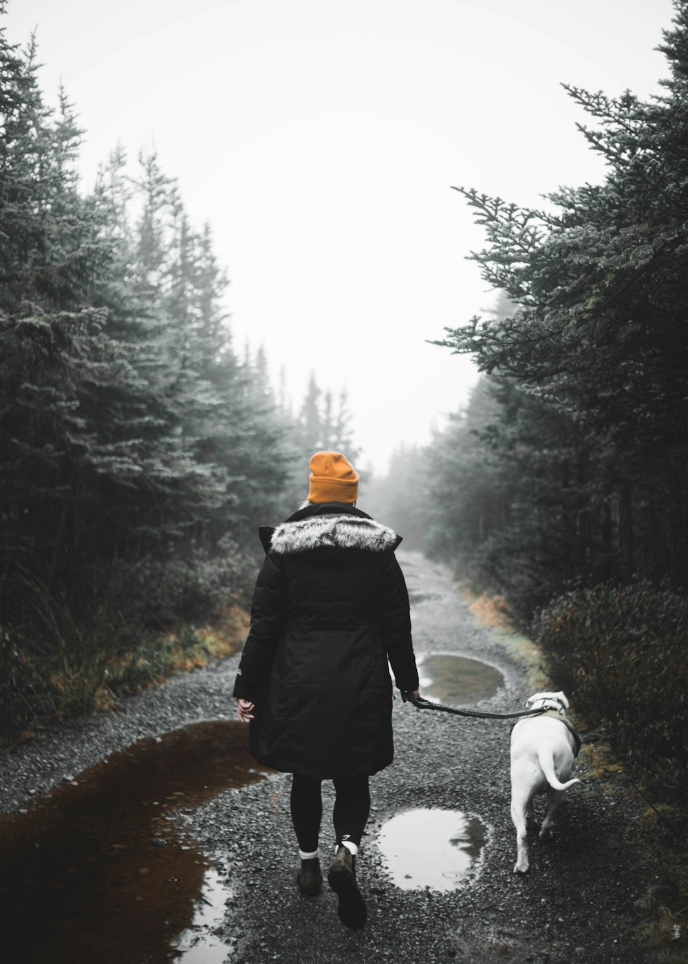 person in black coat walking on road during daytime