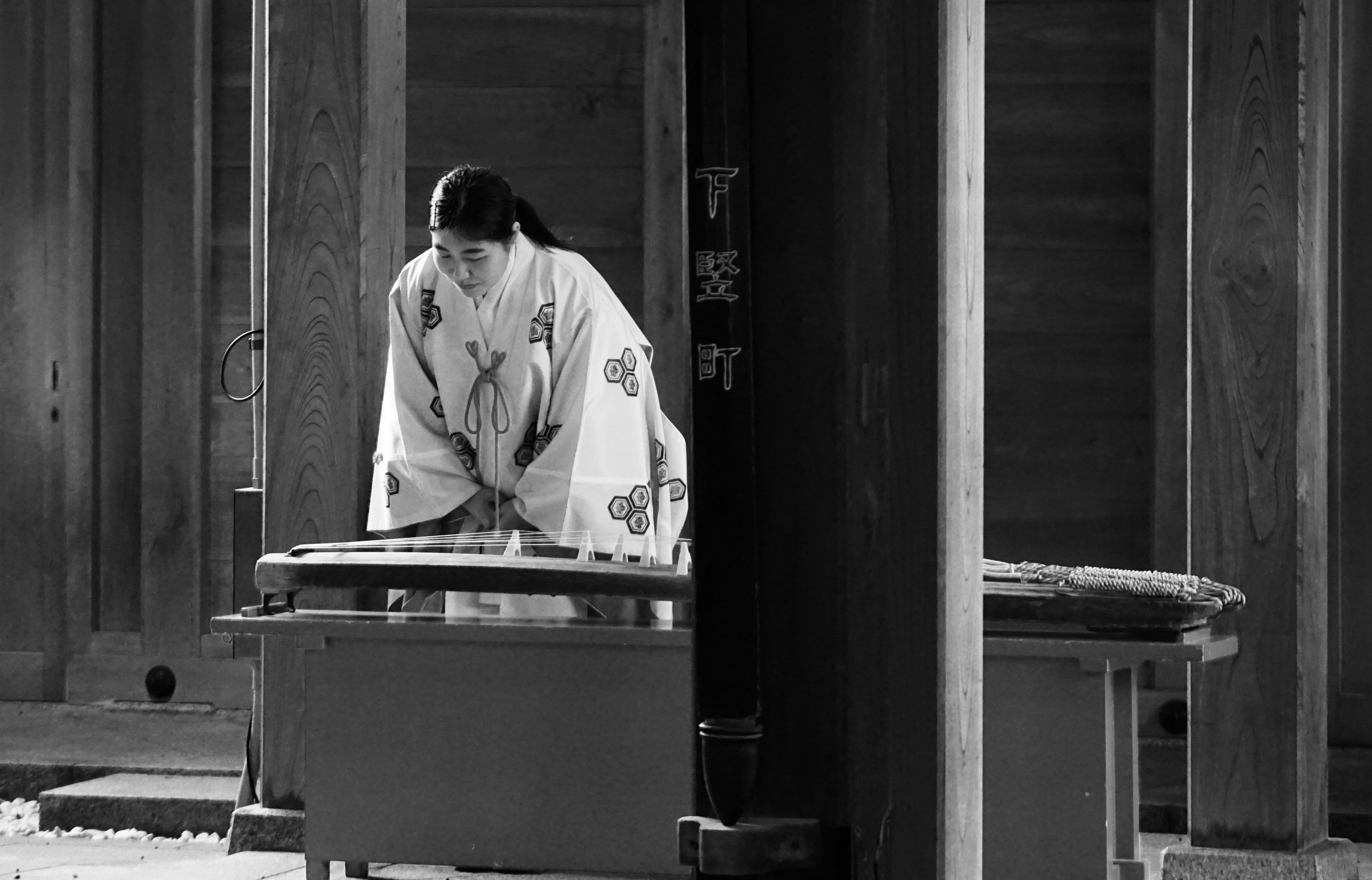 alat musik chordophone